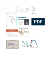 circulatorio (movimiento).docx