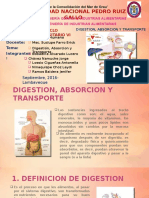 Digestión, Absorción y Transporte.pptx
