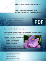 Seminário Biologia Vegetal - Aguapé