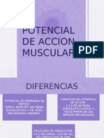 Potencial de acción muscular 