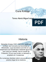 Cura Kneipp: historia, principios e indicaciones de la hidroterapia y fitoterapia según Sebastián Kneipp