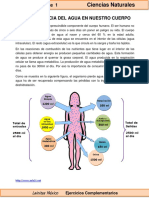 6to Grado - Ciencias Naturales - Funciones Del Agua en El Cuerpo