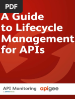 API_Life Cycle Management.pdf