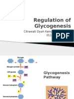 Regulation of Glycogenesis