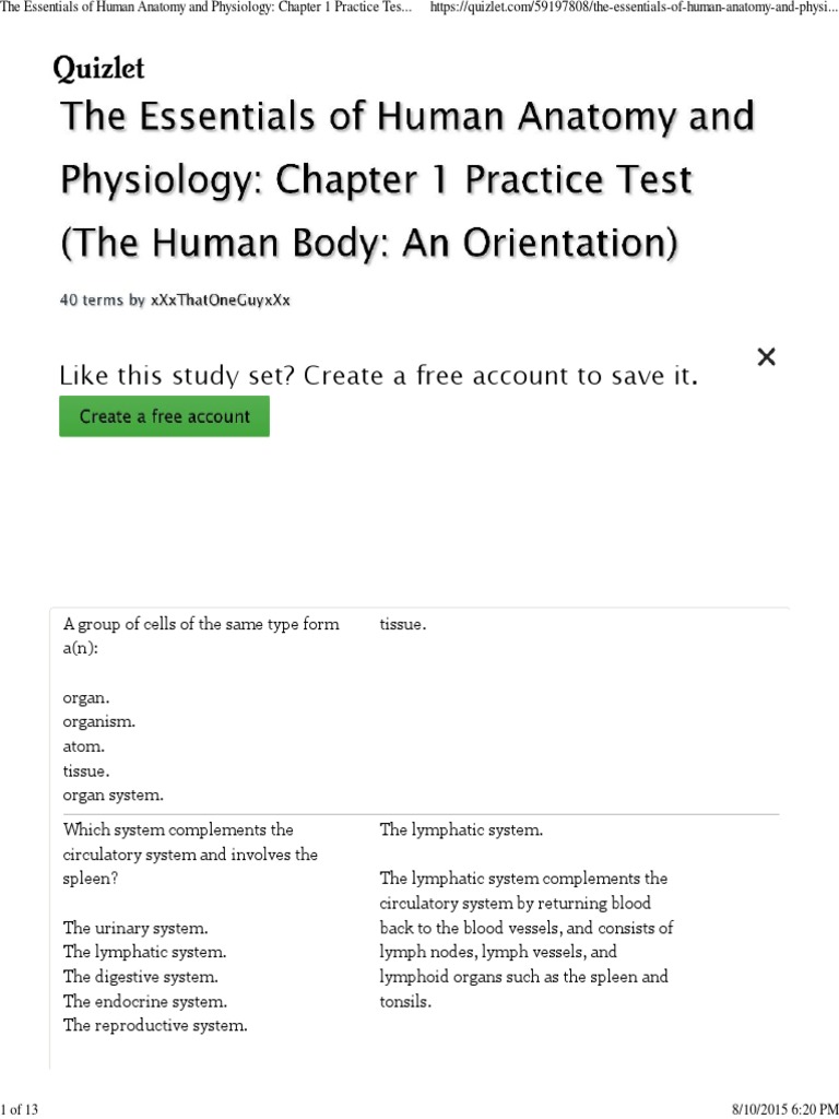 Anatomy And Physiology Chapter 1 Practice Test Anatomical Terms Of Location Human Body