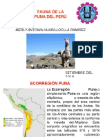 Fauna de La Puna Del Peru