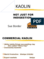 skardonkaolin.ppt