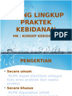 RLPK Kebidanan