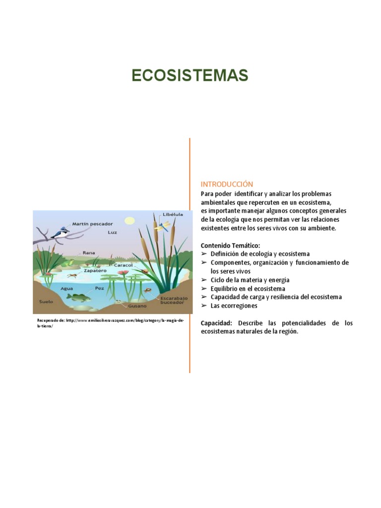 Definición y Componentes de Ecosistemas | PDF | Ecología | Ecosistema