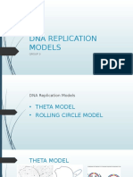 Dna Replication Models