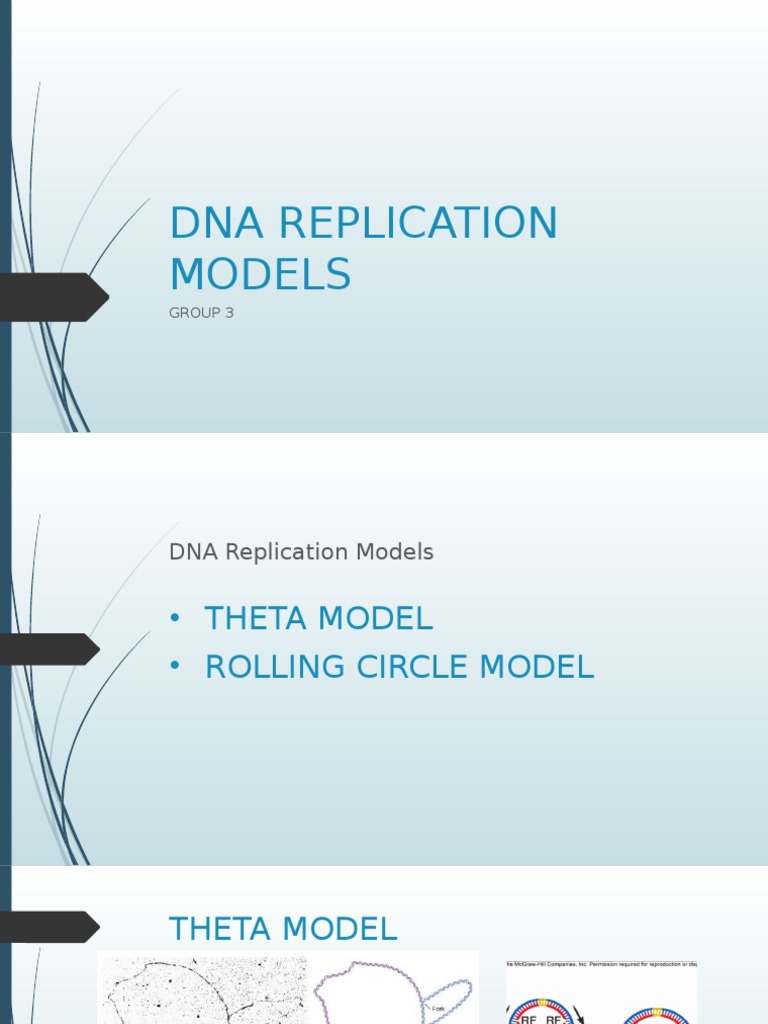 Dna Replication Models Pdf