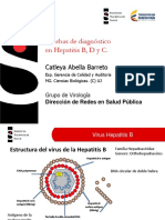 Pruebas Hepatitis BCD