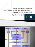 Hubungan Antara Metabolisme Karbohidrat, Lemak Dan Protein