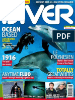 Diver - August 2016 UK