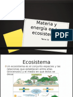 Materia y Energía en Los Ecosistemas