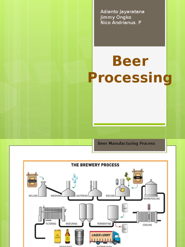 Beer Production Process Explained | PDF | Technology & Engineering