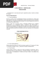 Hematologia - Hematopoese