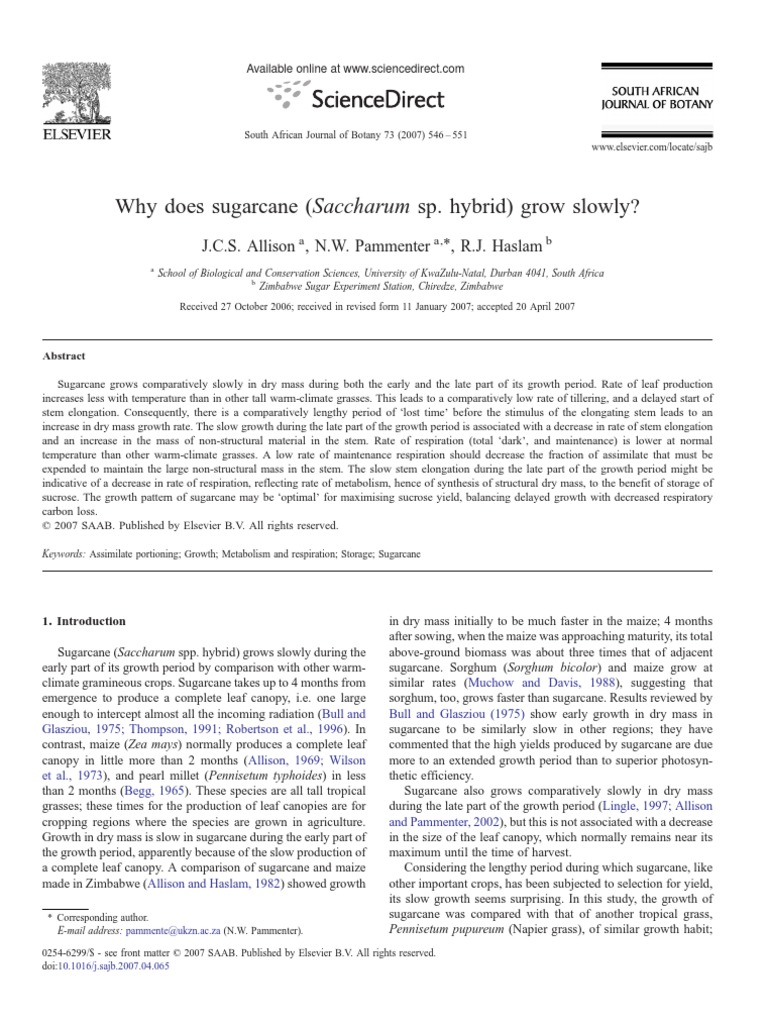 Why Does Sugarcane (Saccharum Sp. Hybrid) Grow Slowly? J.C.S. Allison
