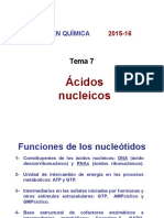 Tema 7 Ácidos Nucleicos