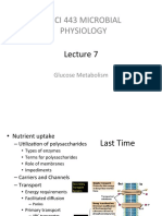 Lecture 7 Glucose Metabolism