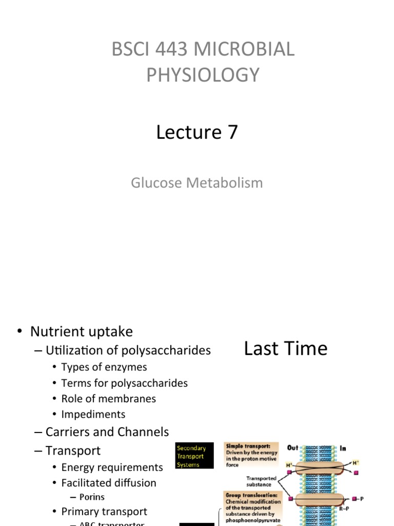 Glucose Metabolism in Microbial Physiology | PDF | Nicotinamide Adenine ...