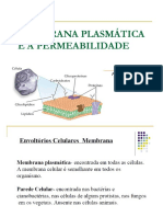 Membrana Plasmática e Permeabilidade Celular