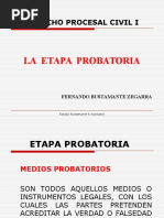 Etapa Probatoria