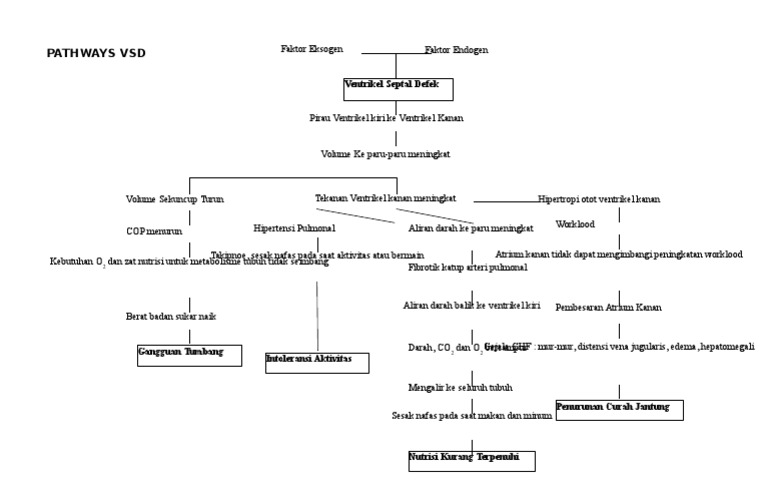 Pathways VSD | PDF