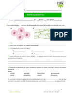 Ficha Avaliação Diagnóstica 1 C Soluções