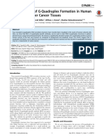 2014.Elevated Levels of G-Quadruplex Formation in Human  Stomach and Liver Cancer Tissues.pdf