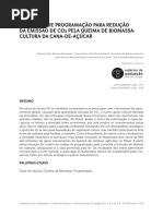 APLICAÇÃO DE PROGRAMAÇÃO PARA REDUÇÃO DA EMISSÃO DE CO2 PELA QUEIMA DE BIOMASSA