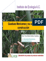 Bambúes Mexicanos para La Construcción