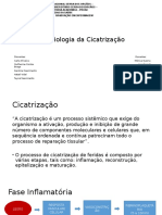 Fisiologia Da Cicatrização