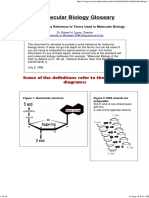 A Molecular Biology Glossary