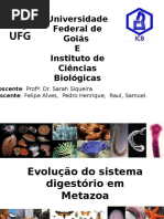 Apresentação Zoologia I