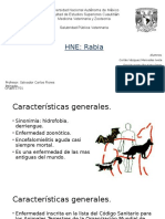 Hne Rabia Presentacion
