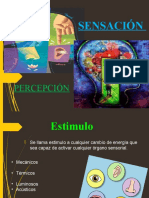 Exposición Sensación - Percepción Ad.