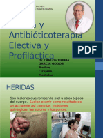 9heridas Antibioticos