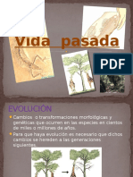 Vida Pasada (Para Niños)