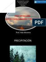 PRECIPITACION DATOS.pdf