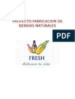 Proyecto Fabricacion de Bebidas Naturales