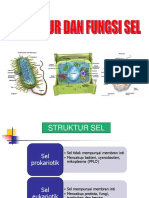 Struktur Sel PDF