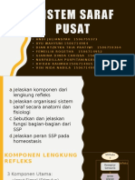 Sistem Saraf Pusat (Kel. 3)