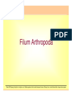 Arthropoda 1 PDF