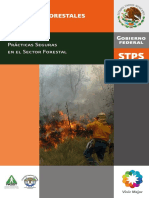 PS Combate de Incendios Forestales PDF