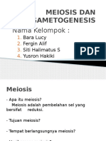 Bio Meiosis
