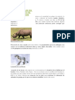 animales extincion.docx