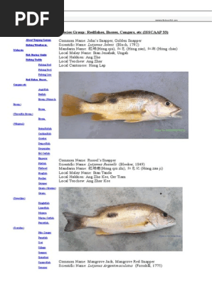 South East Asian Fish