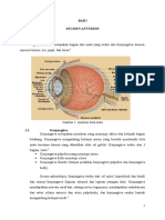 Anatomi Segmen Anterior Mata Buat Penglihatan