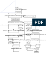 Pathway Lupus Atau SLE